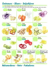 robot-coupe-27087-food-processor-disc-plate-slicing-specsheet-251027ftrqql.pdf