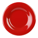 Thunder Group , CR005PR, Plate, Plastic