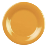 Thunder Group , CR005YW, Plate, Plastic