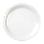 Thunder Group CR107W, Plate, Plastic