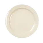 Thunder Group NS109T, Plate, Plastic